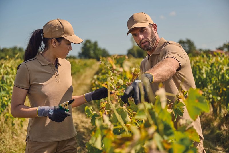 Bermuda multipoches écoresponsable homme – Image 17