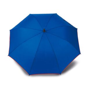 Parapluie automatique