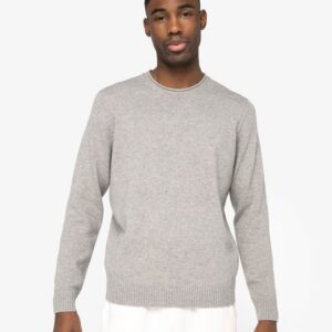 Pull écoresponsable en laine mérinos homme