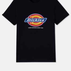 T-shirt DENISON homme (DT6010)