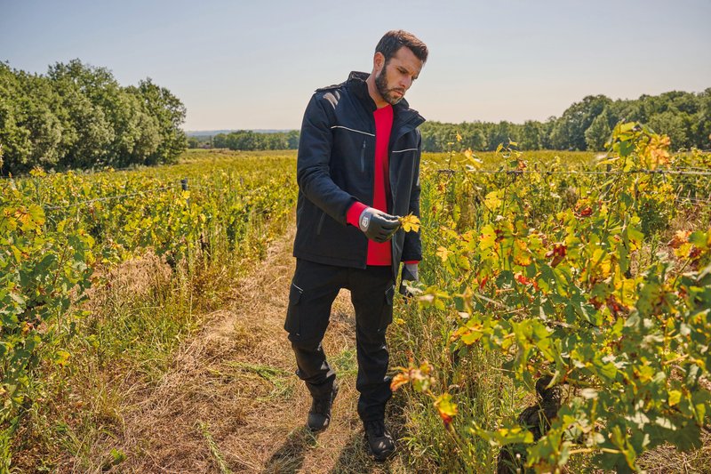 Gants de manutention en environnements humides – Image 12