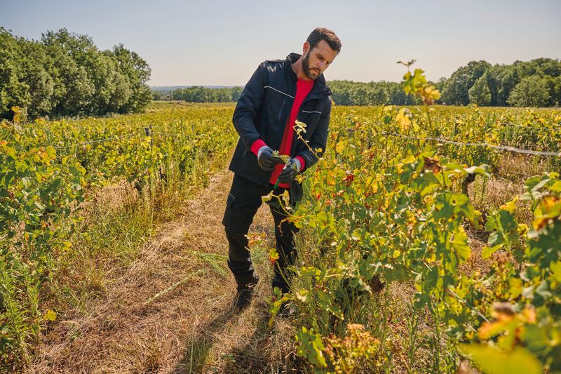Gants de manutention en environnements humides – Image 17