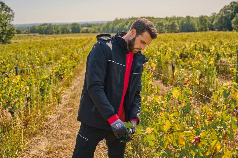 Gants de manutention en environnements humides – Image 16