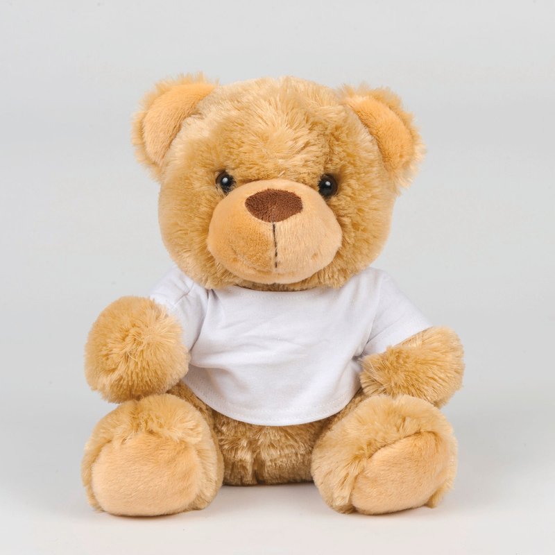 Ours en peluche avec t-shirt