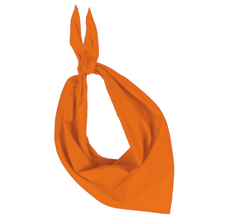Fiesta - Bandana – Image 14