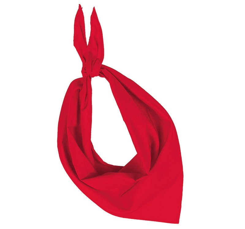 Fiesta - Bandana – Image 17