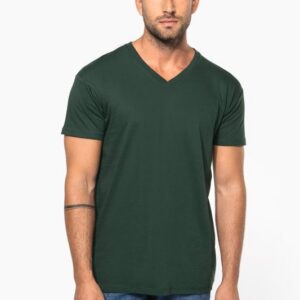 T-shirt Bio150 IC col V homme